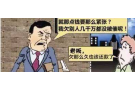 涿州企业清欠服务